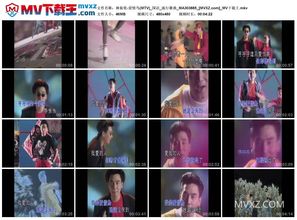 林依伦-爱情鸟(MTV)_国语_流行歌曲_MA303885